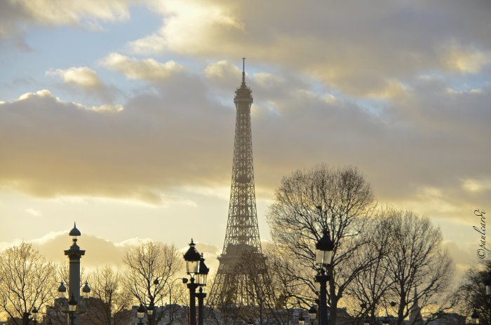 Paris (vue depuis la Concorde)